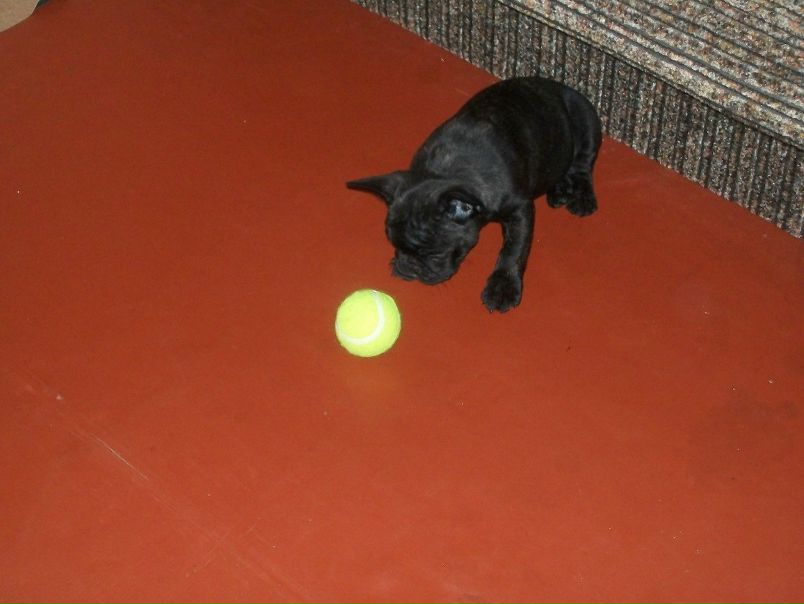 №25, Михаил Прохоров, 46 лет, Харьков №25, Михаил Прохоров, 46 лет, Харьков