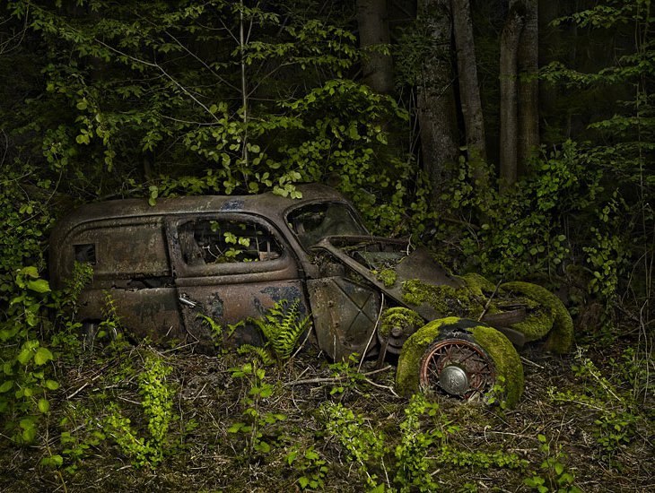 Василий Малков | 