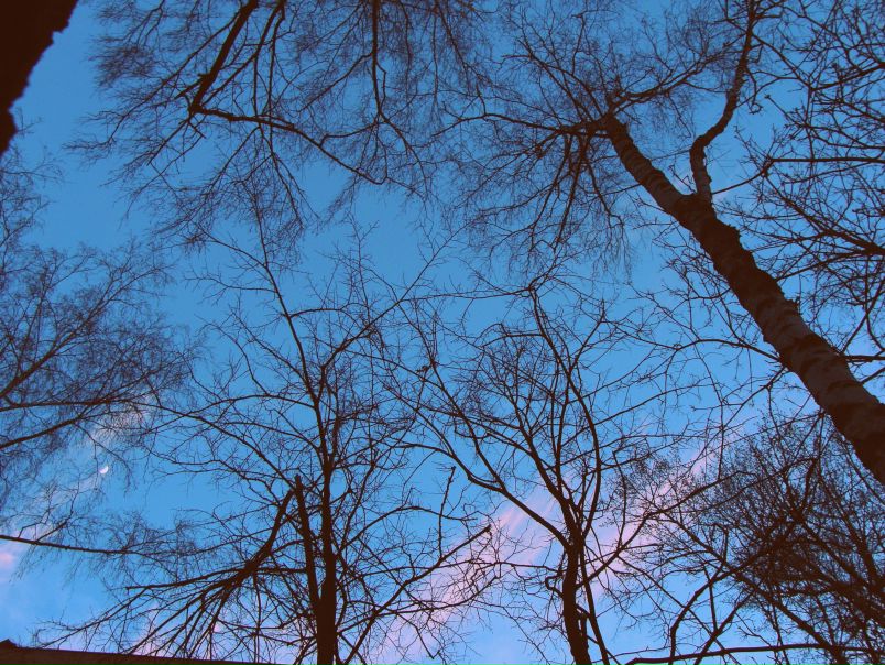 №89, Владимир Тоник, Киев №89, Владимир Тоник, Киев