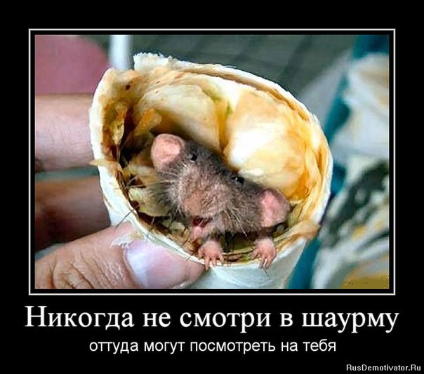 Александр Невский | Москва