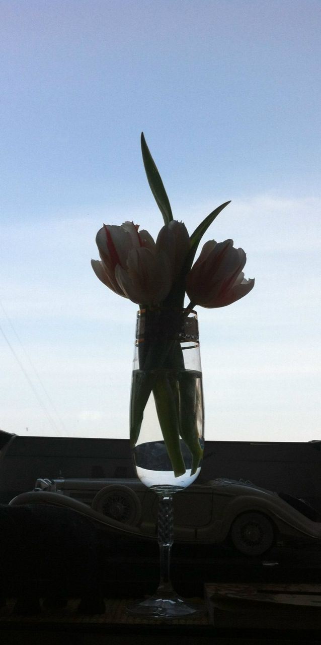 Анна Перемитина | 