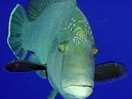 A S | Санкт-Петербург