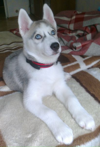 №10, Макс Пешков, 40 лет, Киев №10, Макс Пешков, 40 лет, Киев