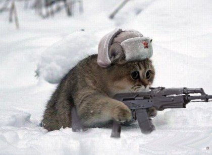 Владимир Кашников | Калининград