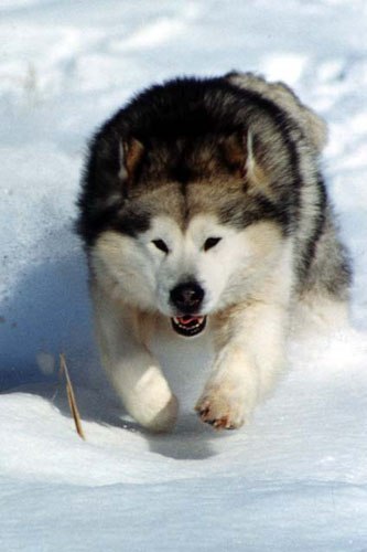 Анастасия Коцаба | Москва