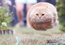Фотография Артем Пономарев