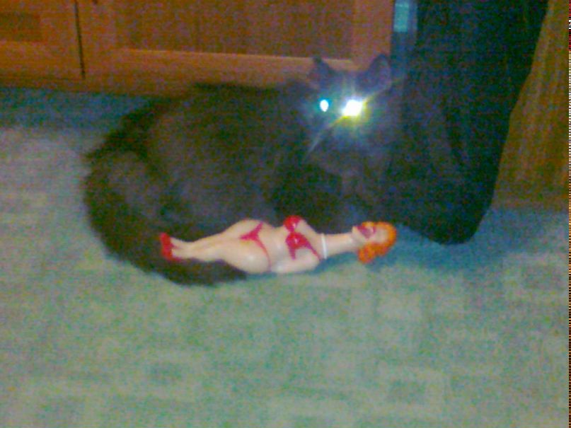 Серёга Боженко | Киров