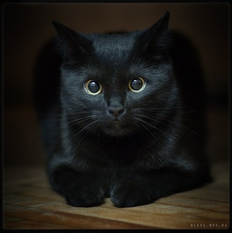 Эдуард Асхадуллин | Оричи