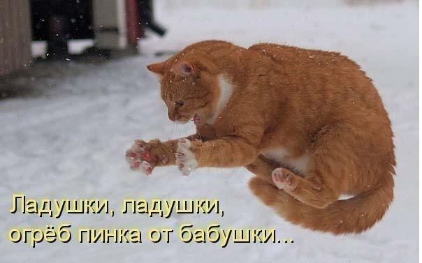 Денис Глущенко | Волгоград