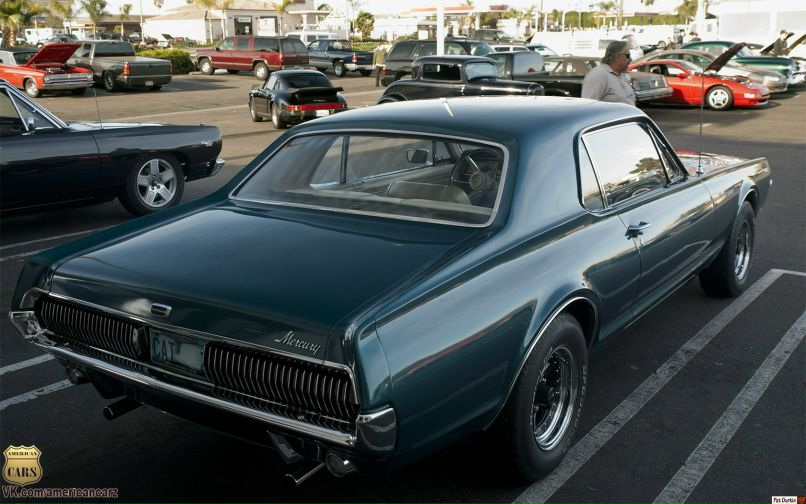 Александра Беликова | 