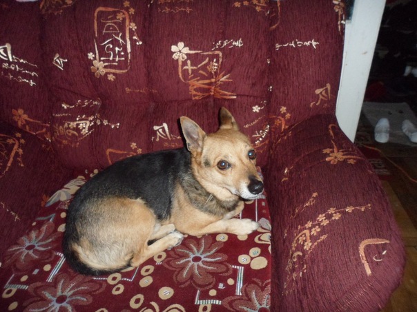 №8, Полина Кипкаева №8, Полина Кипкаева