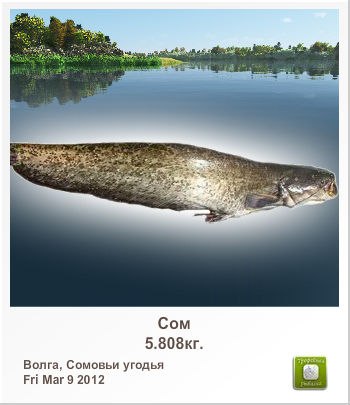 Віталій Швидкий | Одесса