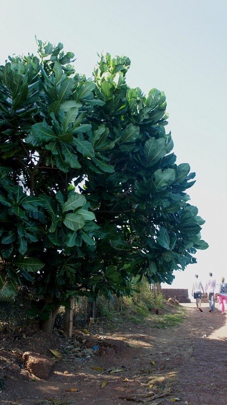 Анна Воробьёва ♥ | Кудрово