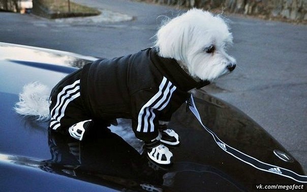 Алексей Мелешкин | Нижний Новгород