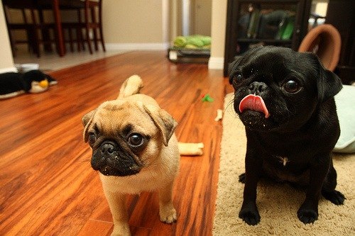 Анастасия Бучак Михайловна | Киев