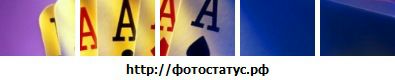 Фотография Санек Чувак