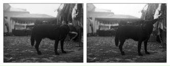 №3 Михаил Шабалин 07.09.1976: профиль, фото, статус - ВКонтакте