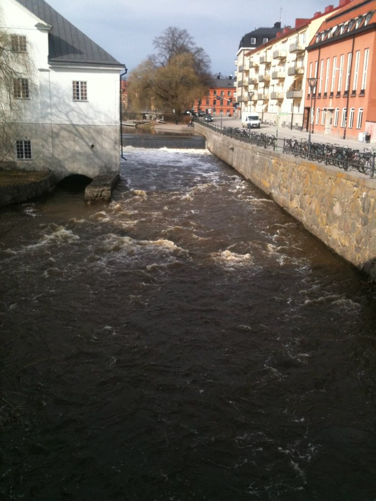 Ольга Барашкова | Москва