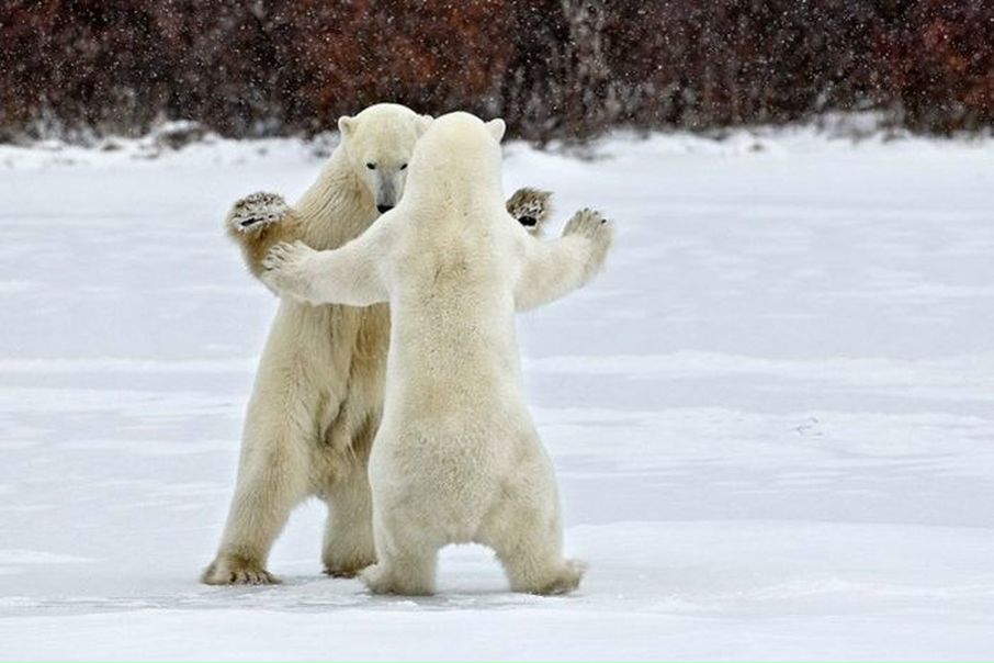 №28, Митя Барсуков, Phuket №28, Митя Барсуков, Phuket