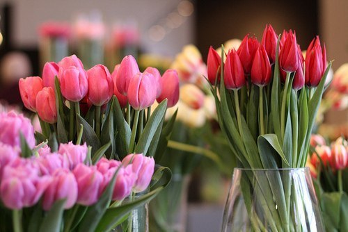 Seryozha Sigiz ЖШАРТ | Чебоксары