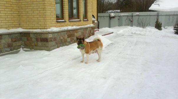 №25, Ирина Федорова, 45 лет, Санкт-Петербург №25, Ирина Федорова, 45 лет, Санкт-Петербург