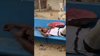 La cucaracha gigante  #viral #humor #trending #tending