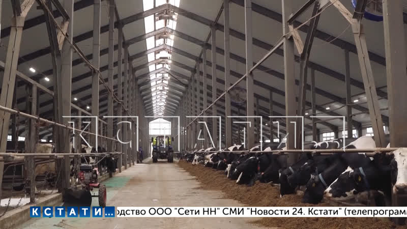 Благодаря мерам господдержки в Нижегородской области в 23