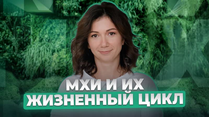 МОХ ТЕБЕ В ПОМОЩЬ ЖИЗНЕННЫЙ ЦИКЛ МХА, БЕЗ КОТОРОГО НЕ СДАШЬ