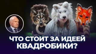 Что стоит за идеей квадробики / А.И. Осипов