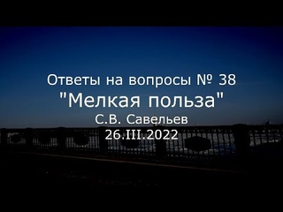 С.В. Савельев - Мелкая польза
