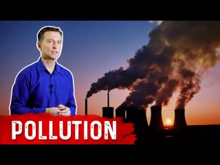 Is Pollution Depleting Your Vitamin C