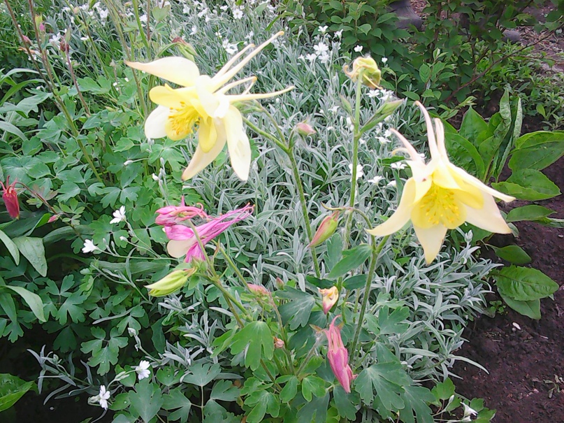 Вера Гусева | Магнитогорск