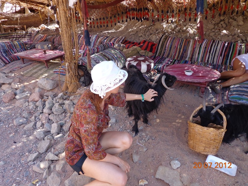 Андрей Корнеев | Санкт-Петербург