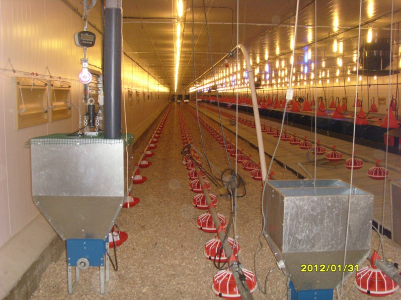 Сергей Миненков | Белгород