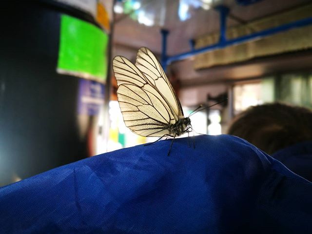 Андрей Гольцов | Новокузнецк