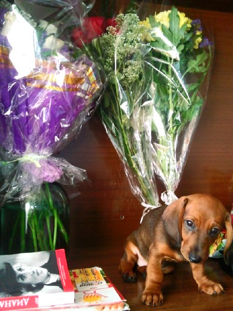 Игорь Чернышов | Санкт-Петербург