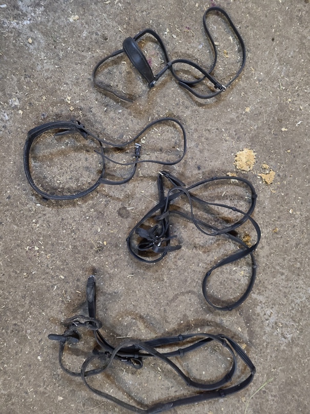 Анастасия Яковенко | Санкт-Петербург