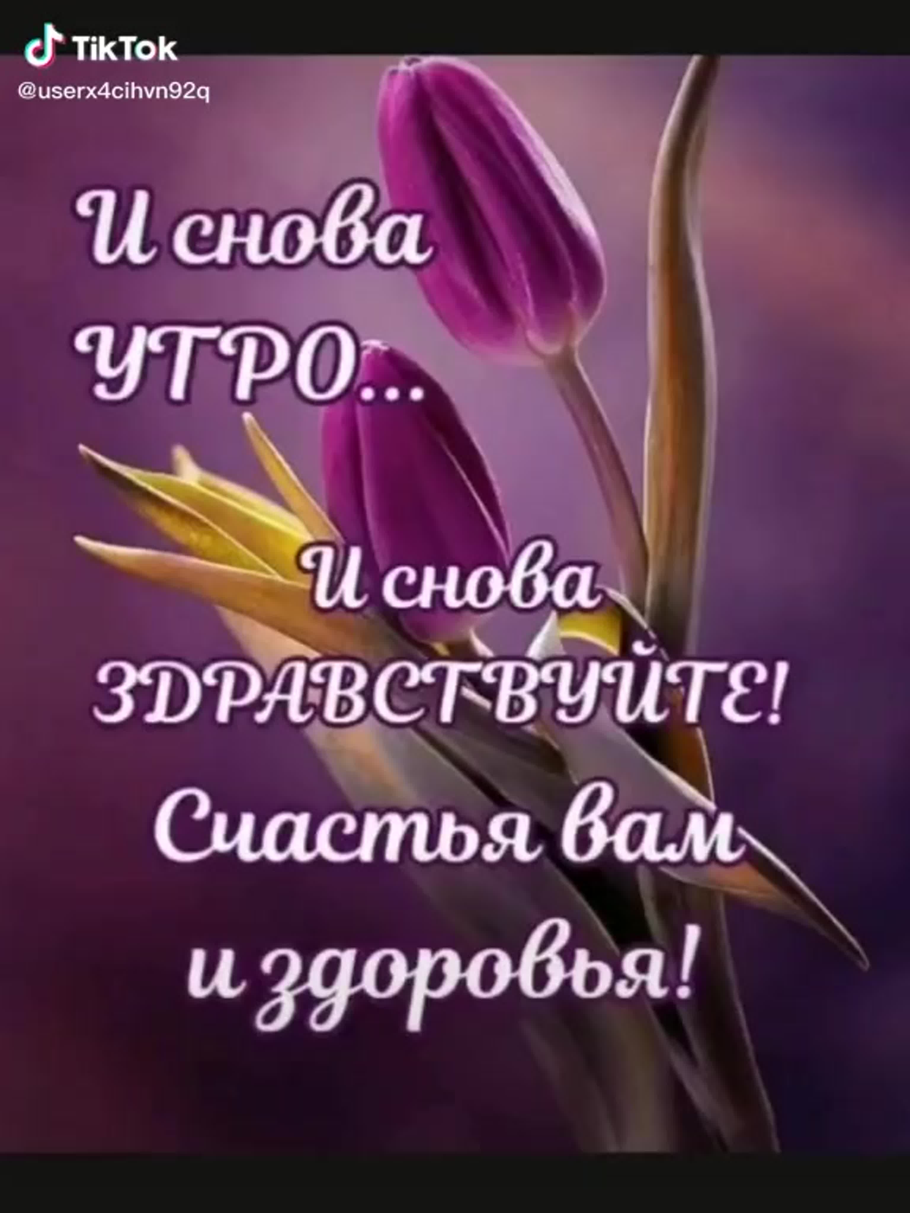 И снова утро и снова Здравствуйте