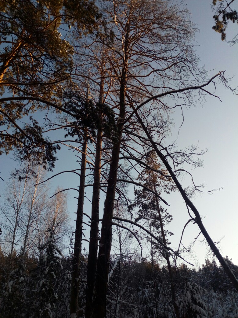 Яна Ефремова | Челябинск