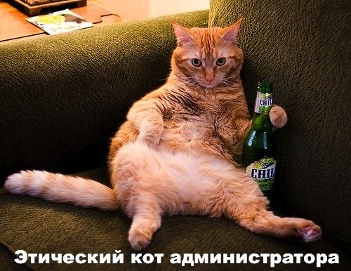 Антон Петренко | Новосибирск