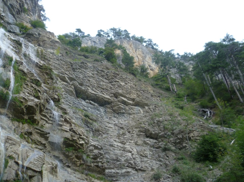 Юлия Ветрова | Орёл