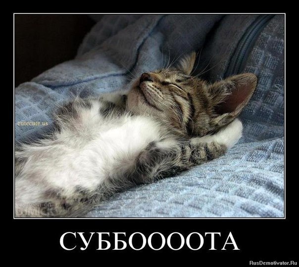 Оля Бондарева | Лида