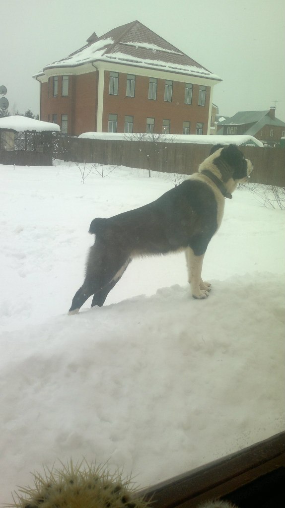 Елена Константинова | Москва