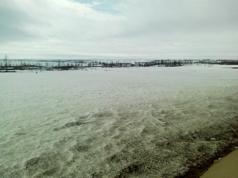 Денис Куркин | Стерлитамак