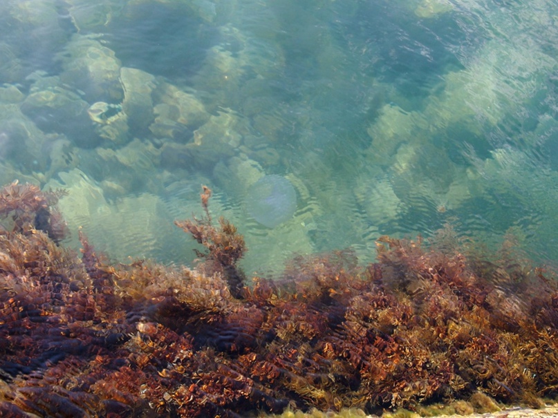 Татьяна Жданова | Ставрополь