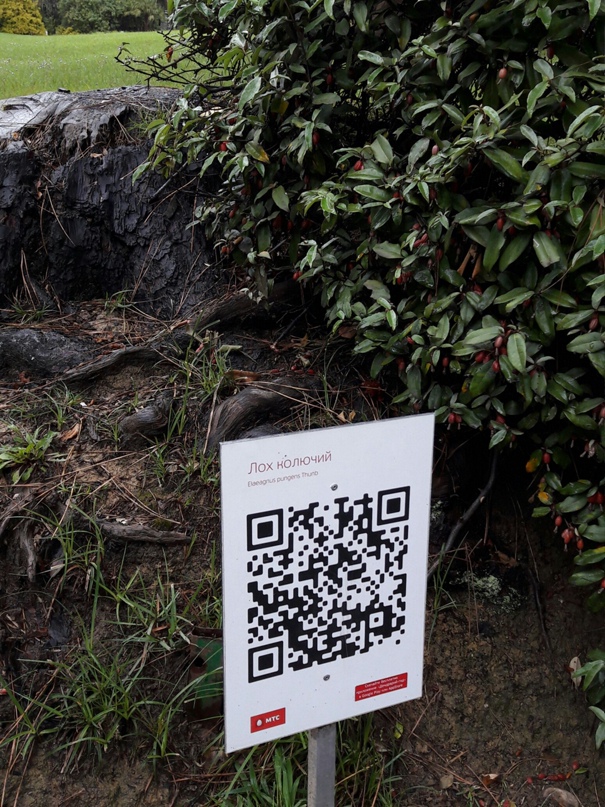 Алёна Клочкова | Екатеринбург