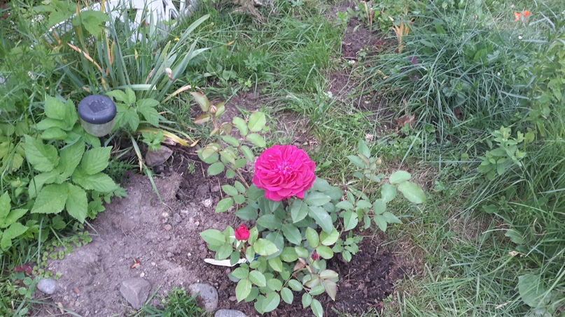 Зоя Иванова | Санкт-Петербург