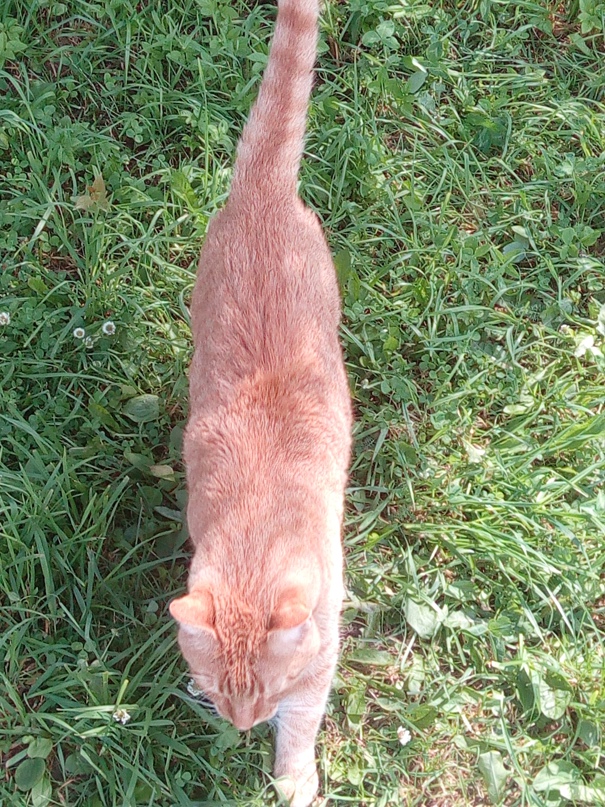 Виталий Булгаков | Санкт-Петербург