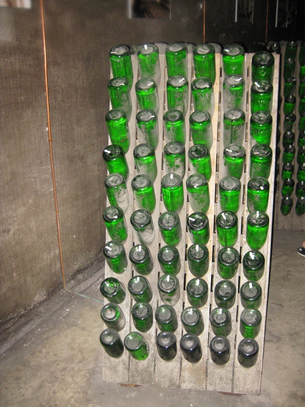 Александр Чапа | Санкт-Петербург