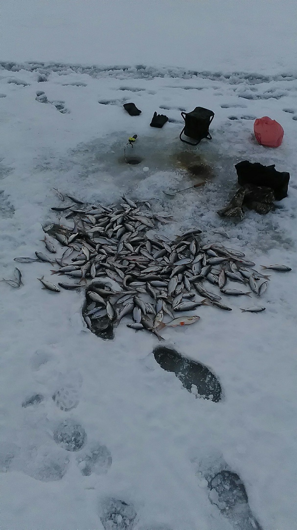 Руслан Омельченко | Полтава